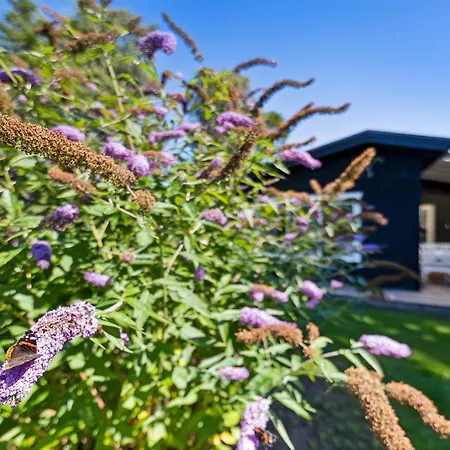 Semesterbostad Cosy Classic With A Covered Terrace And Large Natural Plot Just A Few Minutes Walk From The Family-friendly Ahl *