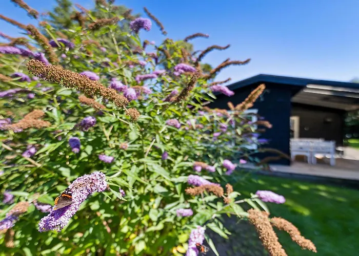 Semesterbostad Cosy Classic With A Covered Terrace And Large Natural Plot Just A Few Minutes Walk From The Family-friendly Ahl *